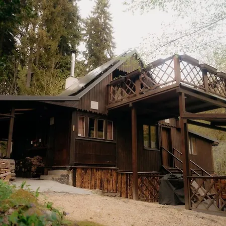 Grizzly Brezova (Sokolov)